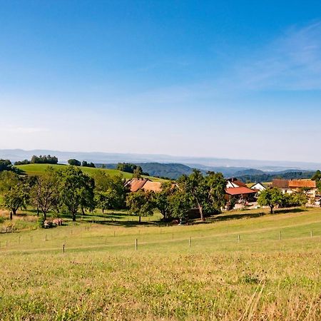 Hofgut Leo Hotel Zell im Wiesenthal Luaran gambar